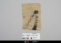 藏品(猿倉人形芝居偶-戲偶頭袋子)的圖片